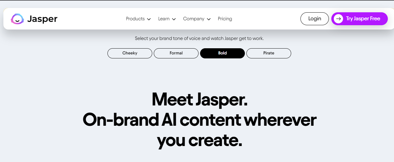 What is Jasper AI Used For?