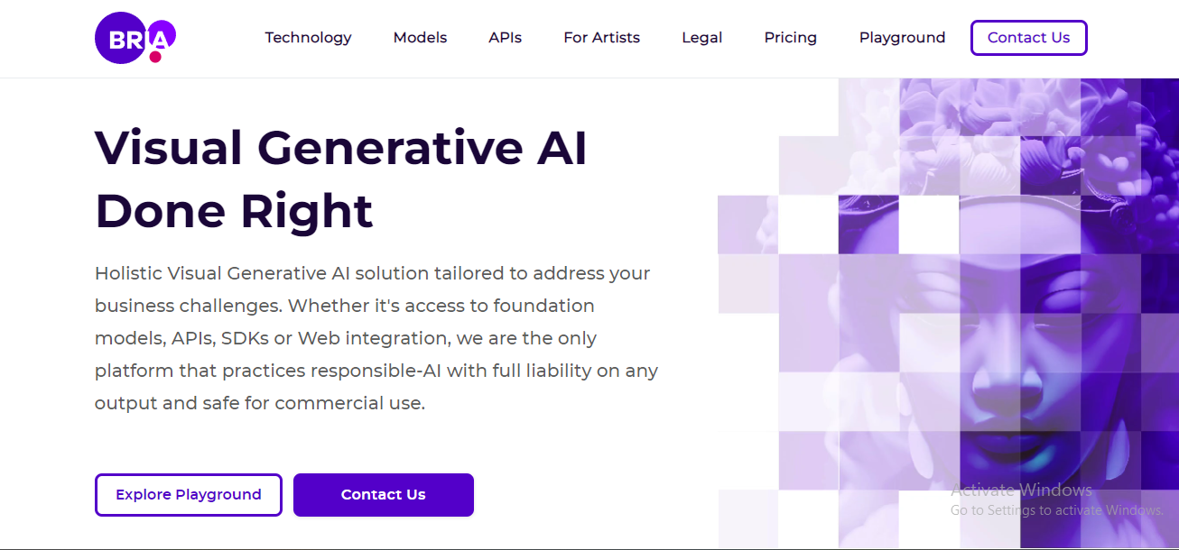 what is bria ai